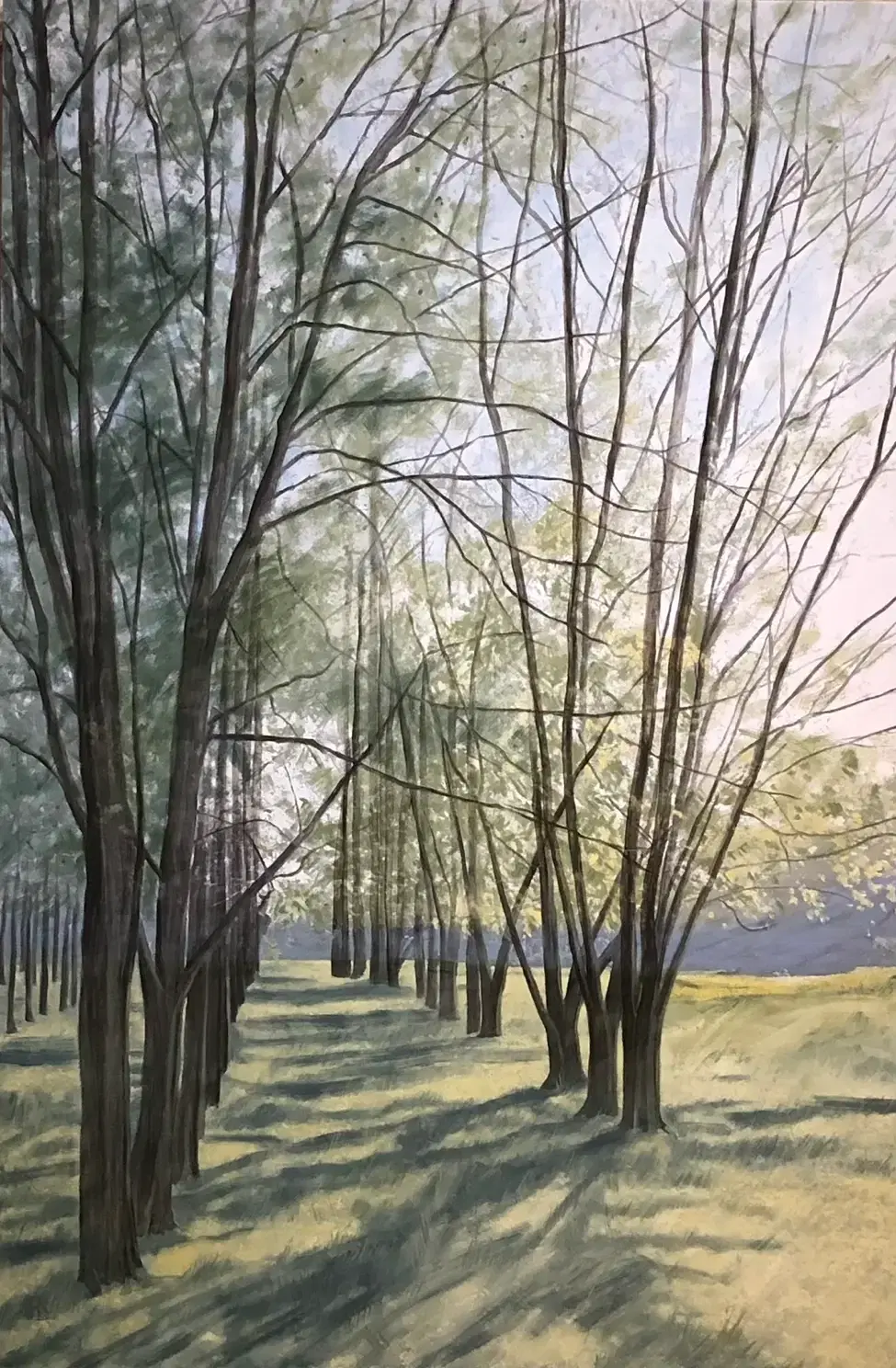 19_Tree Farm_landscape_verticle